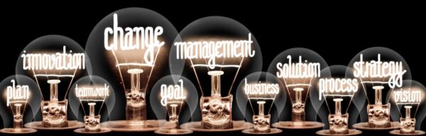 Strategic Agility and Change Mastery: Fueling Sustainable Success